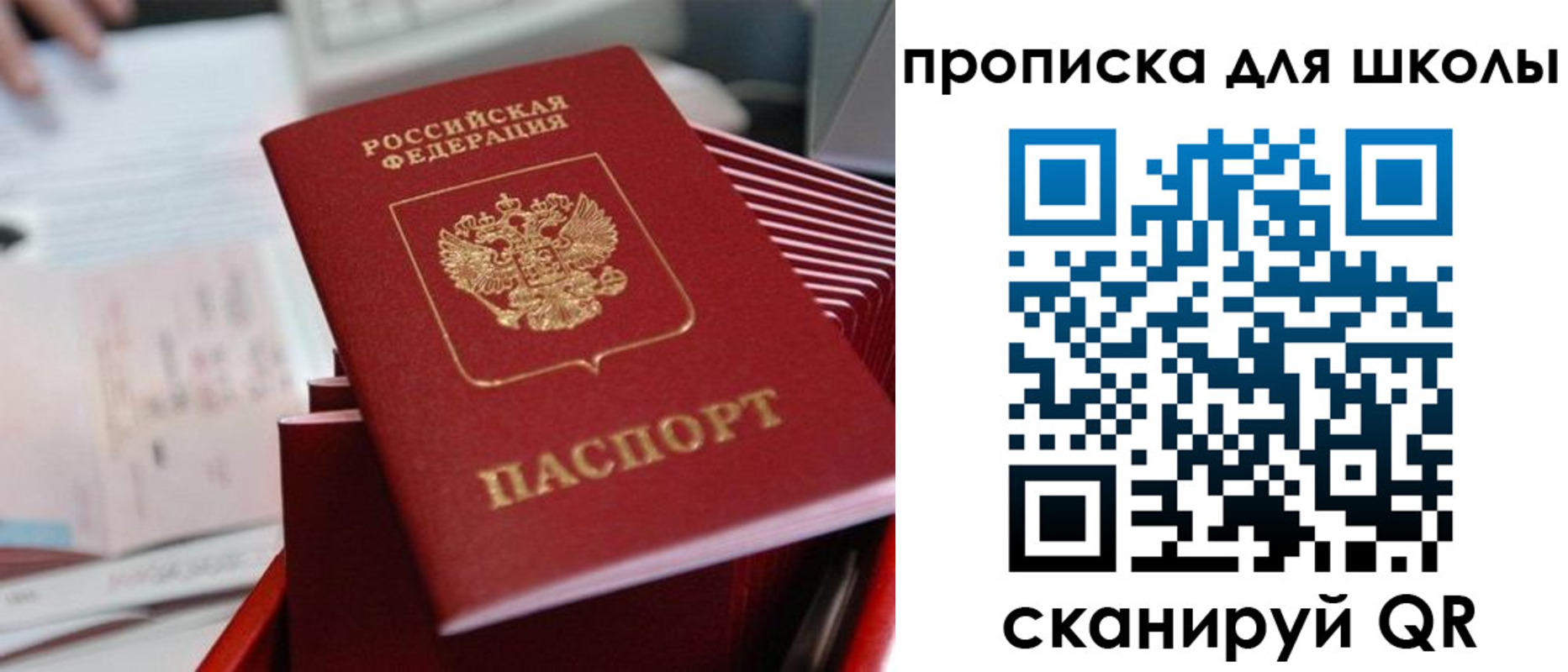 прописка для школы в Армавире